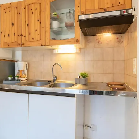 Confortable Pour 4 Pers. A Saint-lary Avec Parking Prive - Fr-1-296-205 Apartman